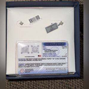 14K White Gold NATURAL Diamond Earrings